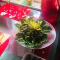 صورة من ريان الشام، شاركها بعد تجربة وصفة تبولة 😍