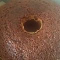 Cooksnap dari Dwi Muntiyati untuk resep Bolu Caramel anti GAGAL