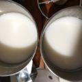 Cooksnap dari Lina untuk resep Resep Susu Almond Favorit (Raw Almond Milk)
