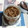 Cooksnap dari Istikah 20444011 untuk resep Bumbu kuah bakso bening, tumisan dan sup super enak dan simple