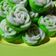 Cooksnap dari Keisha Decorations untuk resep Putu ayu