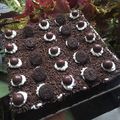 Cooksnap dari wiwi handayani untuk resep Brownies Kukus ala Amanda #BikinRamadanBerkesan