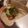 El cooksnap de Jessica Williams🇦🇷 cuando hizo Tacos fríos (veganos).