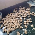 El cooksnap de Maria Hernandez cuando hizo Ñoquis de harina de avena con salsa Carusso.