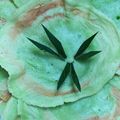 Cooksnap dari Inpita Camalia untuk resep Kue Ape ekonomistanpatelur