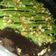 Cooksnap dari Fathan Fara untuk resep Brownies cup lumer