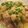 北美liuliu 的 蔥油雞 cooksnap
