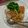 Cooksnap dari Chika Amelia untuk resep Mie Ayam Simpel Enak