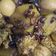 Cooksnap dari frida shofia rahman untuk resep Semur ayam kecap bombay