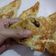 Cooksnap dari Miranty Januaresty untuk resep Thai Banana Roti