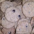 Cooksnap dari Nailal Mahdiyyah untuk resep Cookies oatmeal renyah takaran sendok