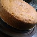 El cooksnap de Rocio La Torre cuando hizo Bizcochuelo de mandarina ♡.