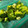 El cooksnap de Marieta cuando hizo Brocoli al vapor en estuche de Lékué.