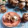 Cooksnap dari Mama fathan untuk resep Banana Choco Muffin with filling