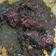 Cooksnap dari Fidya Eka Prahesti untuk resep Bebek rica bumbu hitam ala bebek madura
