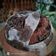 Cooksnap dari Tri Yunianti untuk resep Sourdough Brownie