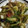 El cooksnap de Jorge cuando hizo Ensalada tibia de pak choi con salsa de soja .