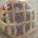 El cooksnap de Maria Elis Monfort cuando hizo Pasta frola de membrillo riquísima y muy fácil!.