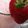 Cooksnap de Djamicoo sur la recette Milkshake fraise vanille
