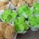 Cooksnap dari Sanny San untuk resep Bolu kukus anti gagal