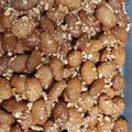 Cooksnap από Riri στη συνταγή Μελομακάρονα Παρλιάρου