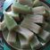 Cooksnap dari Arifah Ayu Wijayanti untuk resep Kue lapis