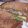 Aamna Saad's cooksnap of when they made Left over Baked chicken sandwiches.