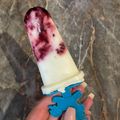 Lina417 Cooksnap-ja, amikor elkészítette a(z) Erdei joghurtos jégkrém 🍇🍓🫐 receptet.