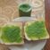 Cooksnap dari Ros liana untuk resep Selai Sarikaya Pandan