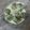 El cooksnap de Seelie Pilates cuando hizo Malfattis integrales espinaca🌿.