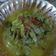 Cooksnap dari Hepi Dona Kurniawati untuk resep Tongseng Kambing #kitaberbagi