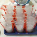 Cooksnap dari Linara untuk resep Pudot (puding sedot)