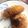 El cooksnap de Dagoberto cuando hizo Papas Hasselback.