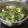 El cooksnap de Claudia Rojas cuando hizo Champiñones con espinaca y brócoli.