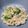 Cooksnap dari Chikita Izni Annisa untuk resep Creamy Broccoli Mac and Cheese