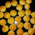 Cooksnap dari Indriani untuk resep Nastar 24 Karat