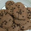 Cooksnap dari Anis Dahniar untuk resep Chocochip cookies (#pr_kuekering)