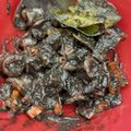 Cooksnap dari Baiq Herawati untuk resep Cumi hitam madura