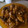 El cooksnap de Jose Angel Carreño Ortega cuando hizo Pollo en salsa.