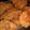 Cooksnap dari Rum wahyuni untuk resep Fried chicken super kriwil