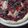 El cooksnap de Erica Schmidt cuando hizo Cheesecake light en 2'.
