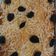 Cooksnap dari Pearlyferly untuk resep Prol Tape Keju Panggang/ no mixer