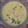 Seema Rana's cooksnap of when they made Fruits salad with custard.