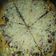 Cooksnap dari @dokterdianna untuk resep Pizza soft dough enak tanpa ribet