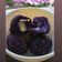 Cooksnap dari Erliana Tan untuk resep Purple sweet potato cheese balls