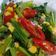Cooksnap dari Imha untuk resep Sawi hijau jagung manis