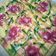 Cooksnap dari Vitri untuk resep Cake jelita ekonomis