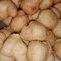 Menuu का कुकस्नैप जब उन्होंने मूंग की दाल के पकौड़े (Moong ki dal ke pakode recipe in Hindi) बनाया था।