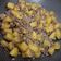 Cooksnap dari Jennifer Steffany untuk resep Daging giling kentang 