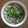 Cooksnap dari LESMANA1970@GMAIL.COM untuk resep Soto Bening Solo